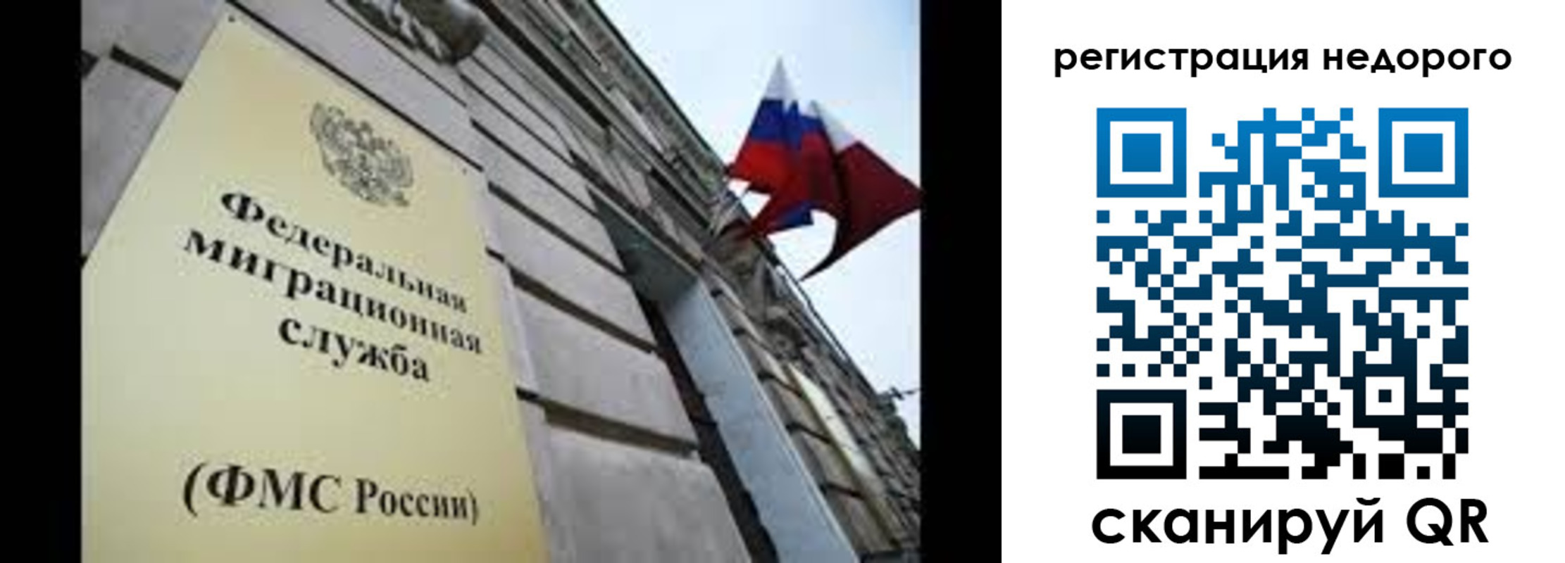 прописка поиск в Шебекино